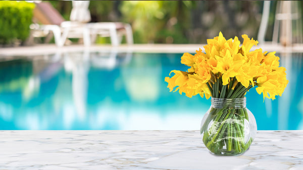 Dive into Spring: Preparing Your Swimming Pool for Opening